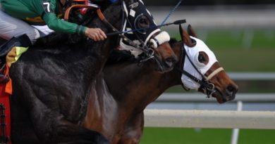 Carrera de Caballos