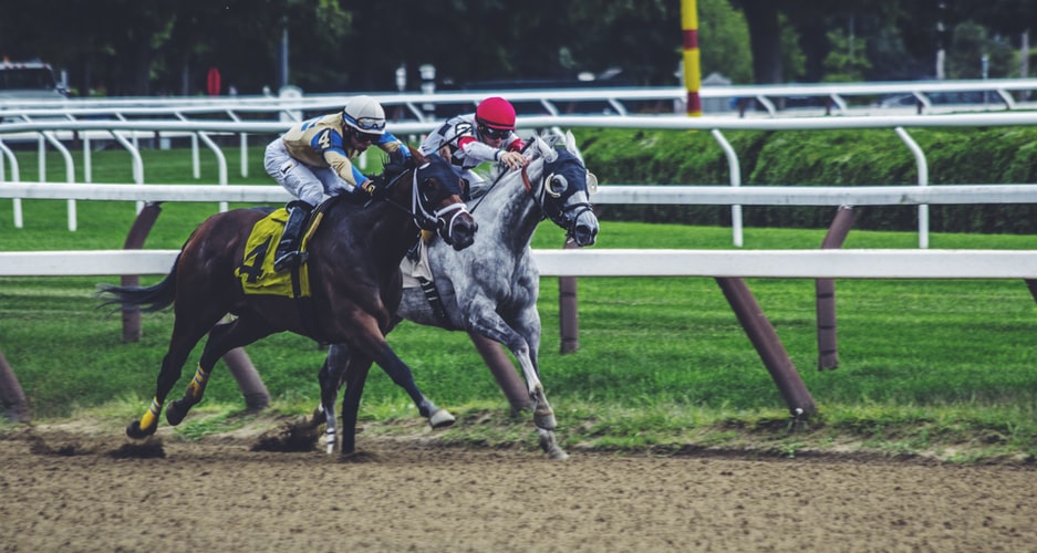 Caballos de carrera en el hipódromo